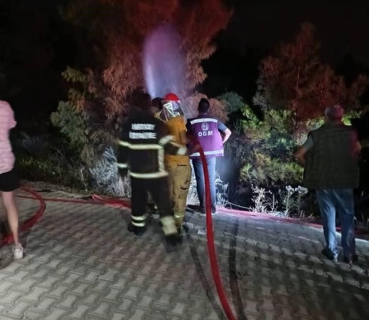 Hatay’ın Arsuz ilçesinde ormanlık alanda çıkan yangın, ekiplerin hızlı müdahalesiyle