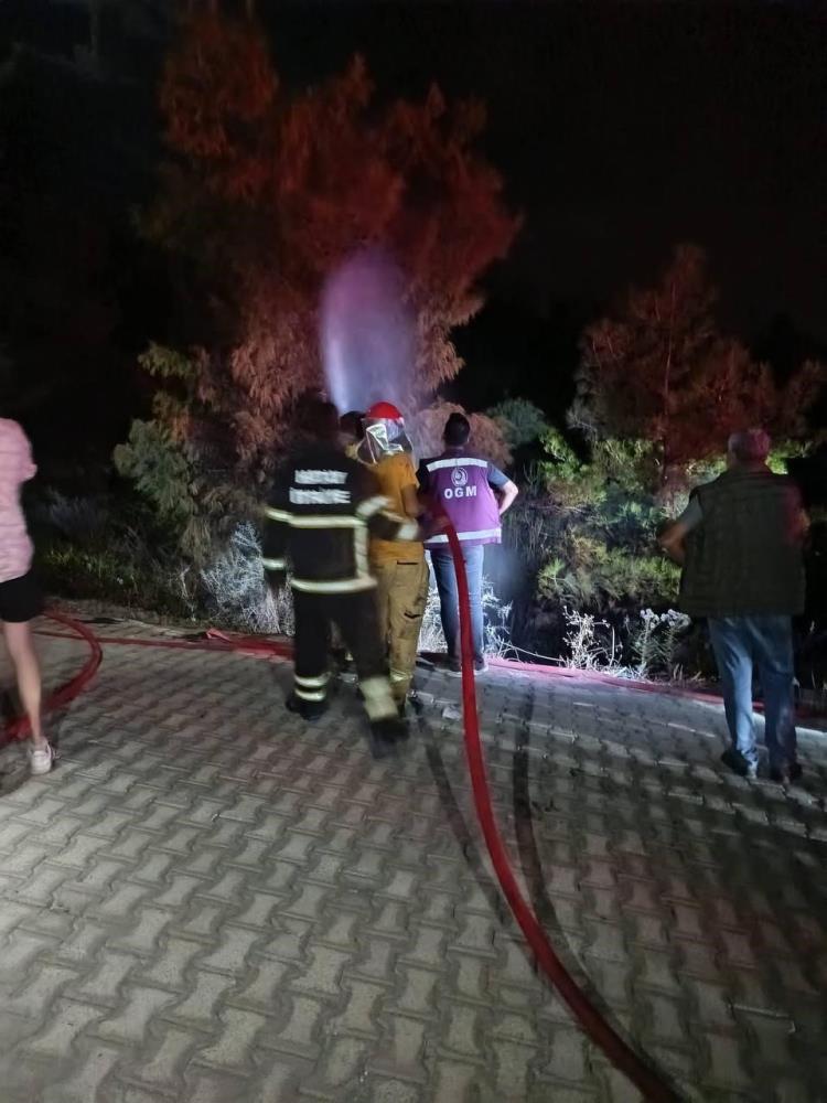 Hatay’ın Arsuz ilçesinde ormanlık alanda çıkan yangın, ekiplerin hızlı müdahalesiyle