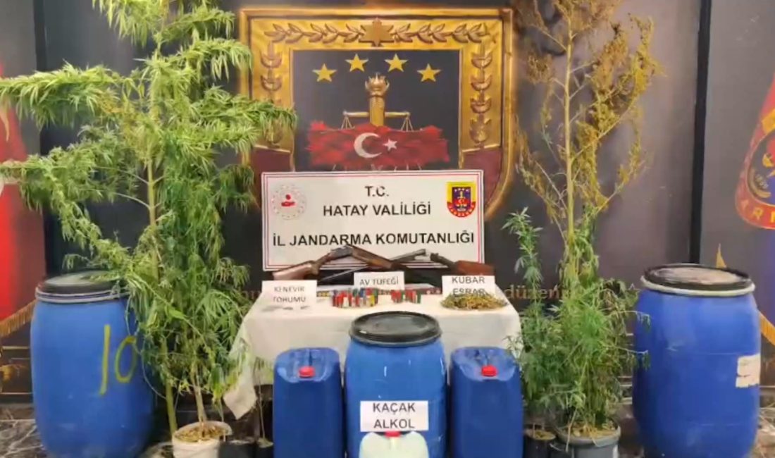 Hatay’ın Samandağ ilçesinde jandarma ekiplerince düzenlenen operasyonda uyuşturucu madde, kenevir