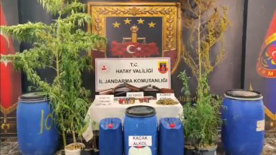 Hatay’ın Samandağ ilçesinde jandarma ekiplerince düzenlenen operasyonda uyuşturucu madde, kenevir
