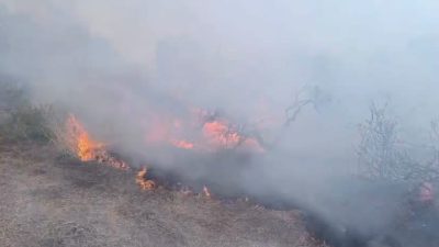 Hatay’ın Hassa ilçesinde zeytinlik ve anızların bulunduğu alanda çıkan yangın,