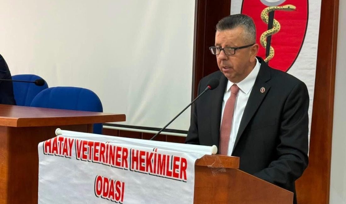 Hatay Veteriner Hekimleri Odası Başkanı Yahya Hamurcu, ithalata dayalı hayvancılık