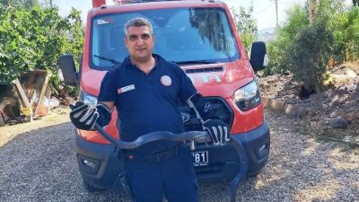 Antakya’nın Serinyol Mahallesi’nde bir evin bahçesinde görülen yılan, Hatay Büyükşehir