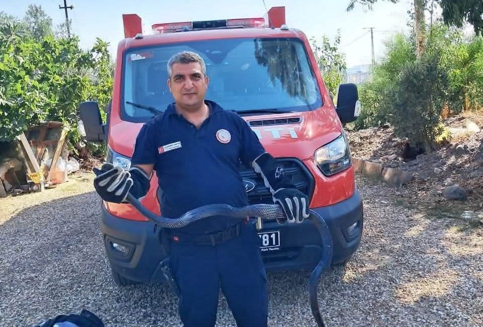 Antakya’nın Serinyol Mahallesi’nde bir evin bahçesinde görülen yılan, Hatay Büyükşehir