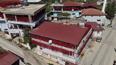 Hatay’ın Altınözü ilçesindeki Yenihisar Mahallesi, hasat edilen acı biberlerin evlerin