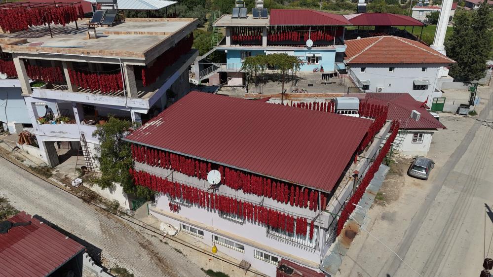 Hatay’ın Altınözü ilçesindeki Yenihisar Mahallesi, hasat edilen acı biberlerin evlerin