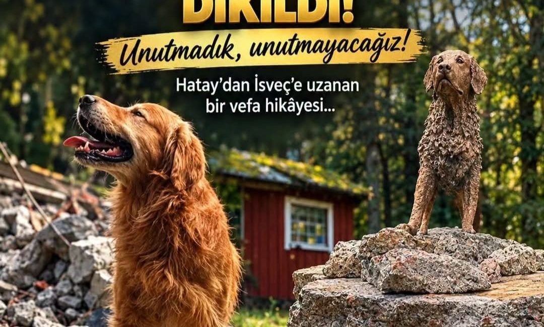 6 Şubat depremlerinde yıkımın en çok yaşandığı ilimizdeki kurtarma çalışmaları