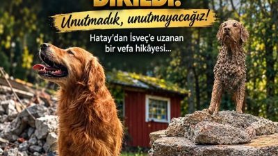 6 Şubat depremlerinde yıkımın en çok yaşandığı ilimizdeki kurtarma çalışmaları