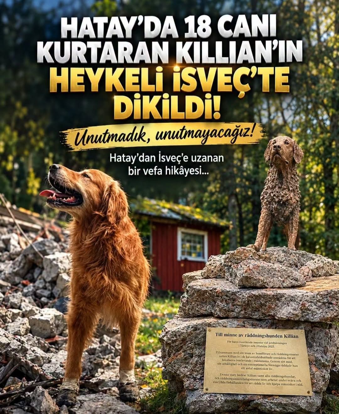6 Şubat depremlerinde yıkımın en çok yaşandığı ilimizdeki kurtarma çalışmaları