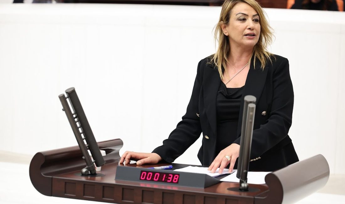 CHP Hatay Milletvekili Nermin Yıldırım Kara, TBMM’de yaptığı konuşmada narenciye