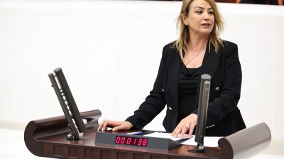CHP Hatay Milletvekili Nermin Yıldırım Kara, TBMM’de yaptığı konuşmada narenciye