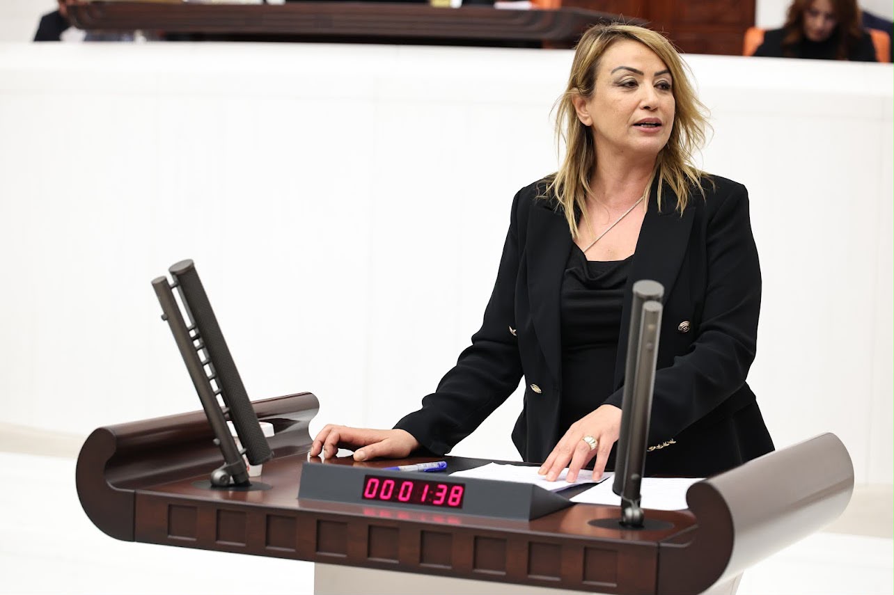 CHP Hatay Milletvekili Nermin Yıldırım Kara, TBMM’de yaptığı konuşmada narenciye