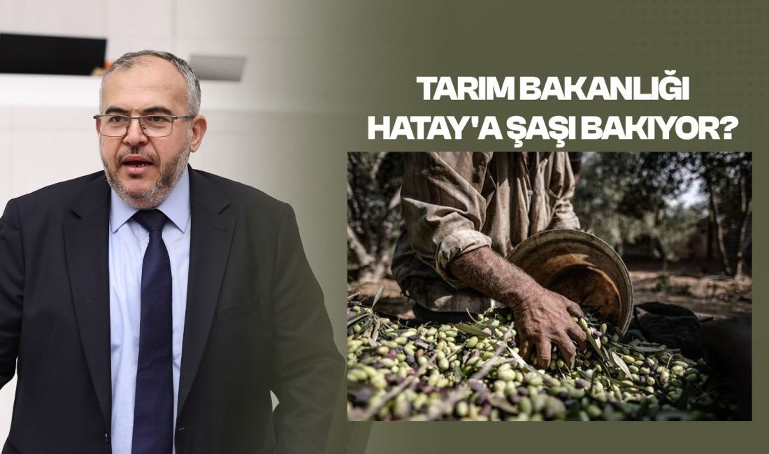 Saadet Partisi Hatay Milletvekili Necmettin Çalışkan, TBMM'deki konuşmasında hasat döneminde