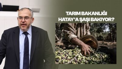 Saadet Partisi Hatay Milletvekili Necmettin Çalışkan, TBMM'deki konuşmasında hasat döneminde