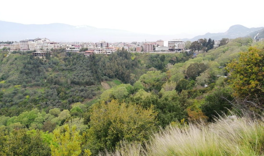 Mülkiyeti Hatay Vakıflar Bölge Müdürlüğüne (Eti Türk Alevi Taifesi Vakfına)