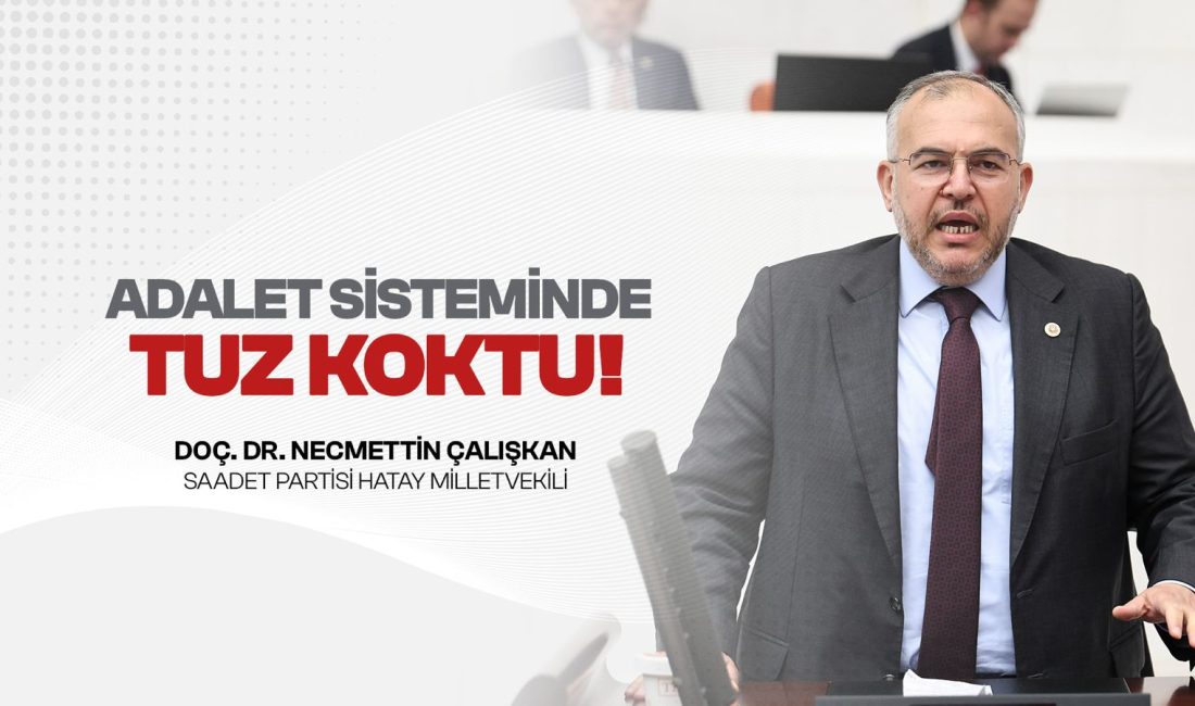 Saadet Partisi Hatay Milletvekili Doç. Dr. Necmettin Çalışkan, TBMM Genel