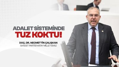 Saadet Partisi Hatay Milletvekili Doç. Dr. Necmettin Çalışkan, TBMM Genel