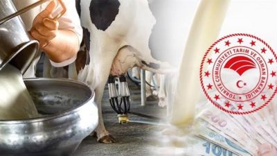 Tarım ve Orman Bakanlığı, çiğ süt desteğine ilişkin düzenlemede değişikliğe