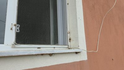 Hatay’ın Hassa ilçesine bağlı Bintaş Mahallesi’nde depremin ardından sık görülmeye
