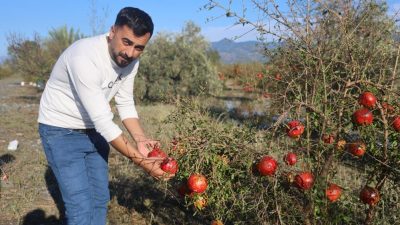 Hatay’ın Arsuz ilçesinde 20 dakika süren ceviz büyüklüğündeki dolu yağışı,