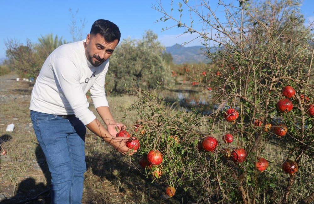 Hatay’ın Arsuz ilçesinde 20 dakika süren ceviz büyüklüğündeki dolu yağışı,