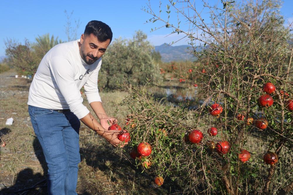 Hatay’ın Arsuz ilçesinde 20 dakika süren ceviz büyüklüğündeki dolu yağışı,