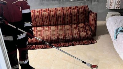 Hatay’ın Samandağ ilçesinde yerleşim alanında görülen yılan, itfaiye ekiplerini harekete