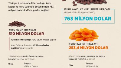 Güneydoğu Anadolu İhracatçı Birliklerine bağlı 9 ilden yılın ilk 9