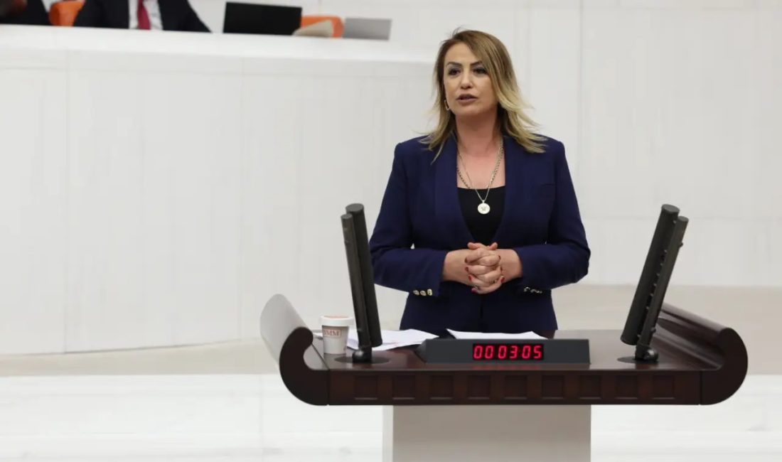 CHP Hatay Milletvekili Nermin Yıldırım Kara, Türkiye Büyük Millet Meclisi’nde