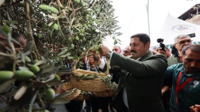 Hafta sonunda gerçekleştirilen 10. Altınözü Zeytin, Zeytinyağı ve Gastronomi Festivali
