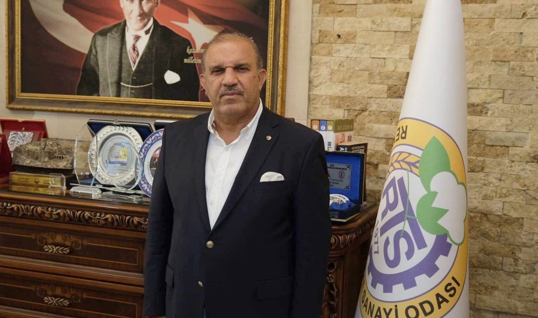Reyhanlı TSO Başkanı Necmettin Zaroğlu, Cilvegözü’ndeki TIR kuyruklarının küresel taşımacılık